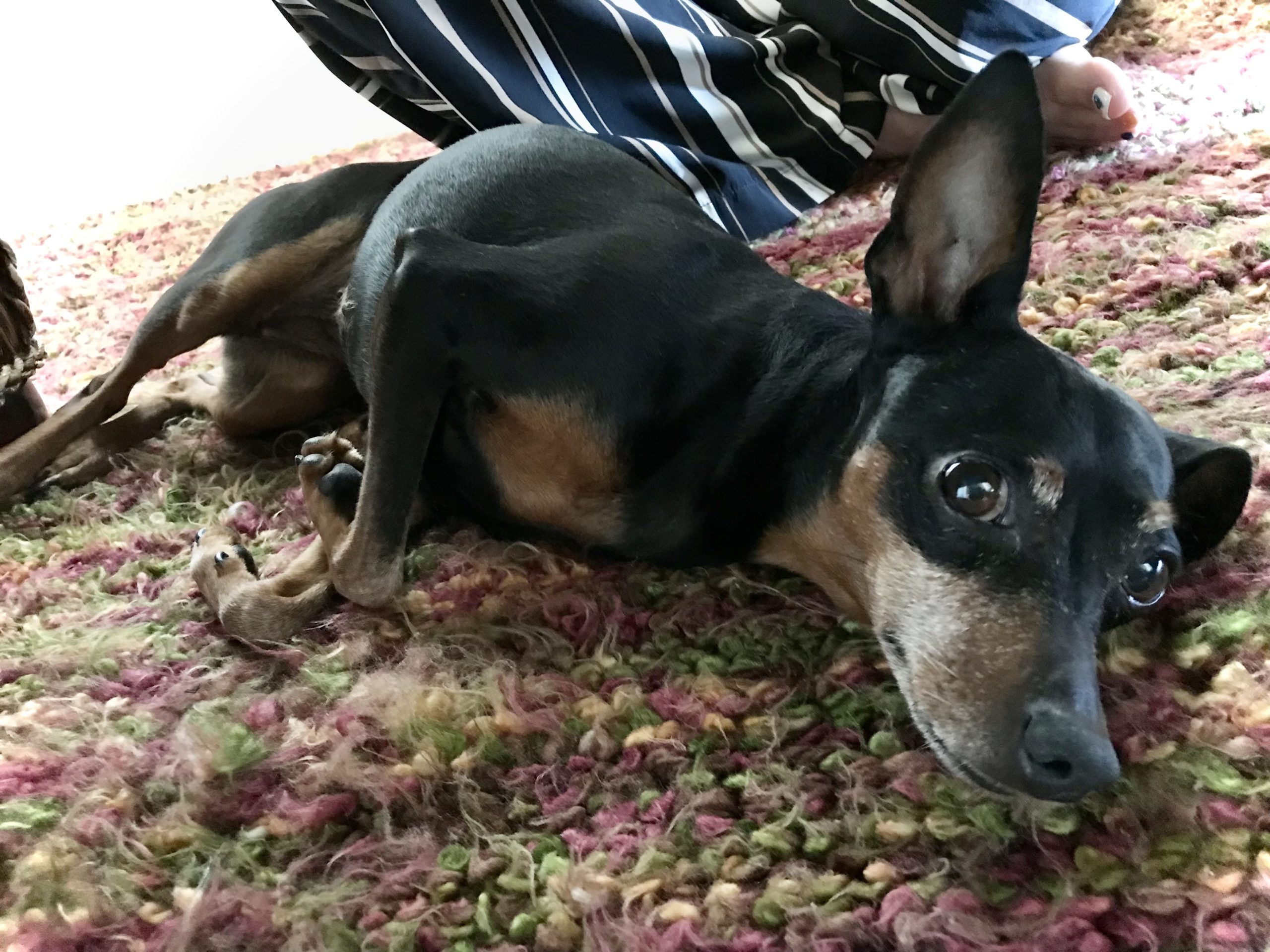 ３月のスケジュール